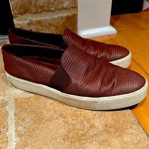 Vince sneakers worn but good condition